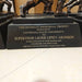 Heisman Memorial Trophy College Football Award Replica Statue University Buy Now - Purchase USA ComplexExpress