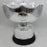 2019 Asian Football Confederation (AFC) Cup 1:1 Replica Trophy - ComplexExpress