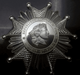 French Legion of Honor Breast Star Accomplishments 1:1 Replica Award - ComplexExpress